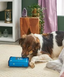 Frisco Magic Spell Book Plush Squeaky Dog Toy 7 Frisco Magic Spell Book Plush Squeaky Dog Toy -Dog Cat Corner 265608 PT3. SY630 V1620939089