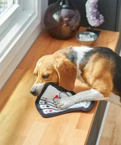 Frisco Magic Lucky Aces Flat Plush Squeaky Dog Toy -Dog Cat Corner 265612 PT3. SY630 V1620938989