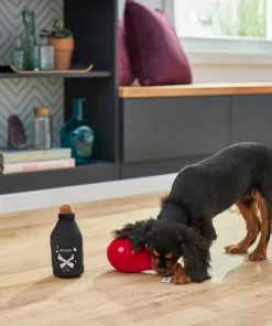 Frisco Magic Potions Plush Squeaky Dog Toy -Dog Cat Corner 265618 PT3. SY630 V1620939183