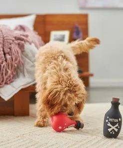 Frisco Magic Potions Latex Squeaky Dog Toy, 2 count -Dog Cat Corner 265632 PT3. SY630 V1620939021