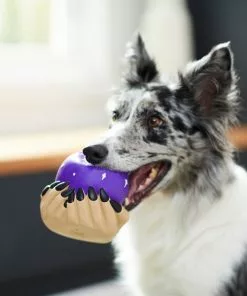 Frisco Magic Fortune Teller's Crystal Ball Latex Squeaky Dog Toy -Dog Cat Corner 265634 PT3. SY630 V1623352126