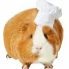 Frisco Chef Guinea Pig Costume Hat, One Size -Dog Cat Corner 265887 MAIN. SY630 V1624307870