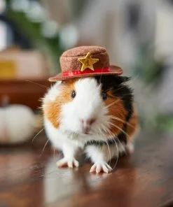 Frisco Cowboy Guinea Pig Costume Hat, One Size -Dog Cat Corner 265889 PT8. SY630 V1624454639