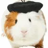 Frisco French Beret Guinea Pig Costume Hat, One Size -Dog Cat Corner 265891 MAIN. SY630 V1624305182