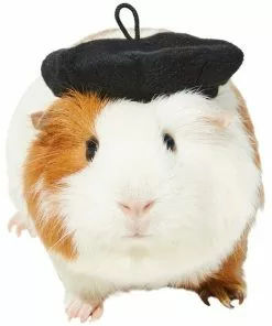 Frisco French Beret Guinea Pig Costume Hat, One Size