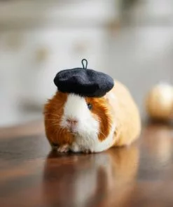 Frisco French Beret Guinea Pig Costume Hat, One Size 9 Frisco French Beret Guinea Pig Costume Hat, One Size -Dog Cat Corner 265891 PT8. SY630 V1624337078