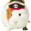 Frisco Pirate Guinea Pig Costume Hat, One Size
