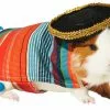 Frisco Serape Guinea Pig Costume, One Size -Dog Cat Corner 265895 MAIN. SY630 V1624304603