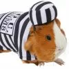 Frisco Prisoner Guinea Pig Costume, One Size 1 Frisco Prisoner Guinea Pig Costume, One Size -Dog Cat Corner 265897 MAIN. SY630 V1624304868