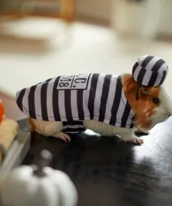 Frisco Prisoner Guinea Pig Costume, One Size -Dog Cat Corner 265897 PT8. SY630 V1624339171