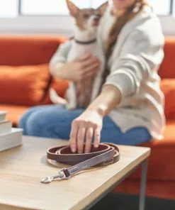 Frisco Top Grain Leather Leash 7 Frisco Top Grain Leather Leash -Dog Cat Corner 266521 PT3. SY630 V1619536628