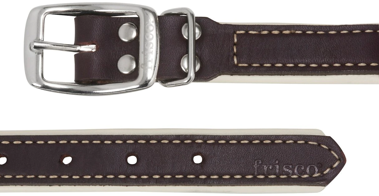 Frisco Two Tone Top Grain Leather Collar 5 Frisco Two Tone Top Grain Leather Collar - Image 3