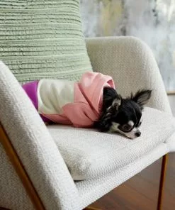 Frisco Colorblock Dog & Cat Hoodie with Sleeves -Dog Cat Corner 267963 PT6. SY630 V1637683593