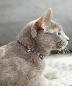 Frisco Midnight Floral Cat Collar, 8-12 Inches -Dog Cat Corner 269490 PT4. SY630 V1617037508