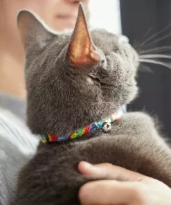 Frisco Tie Dye Cat Collar, 8-12 Inches -Dog Cat Corner 269494 PT4. SY630 V1617037394