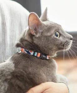 Frisco Spring Reef Life Collar, 8-12 Inches -Dog Cat Corner 269500 PT4. SY630 V1617037320