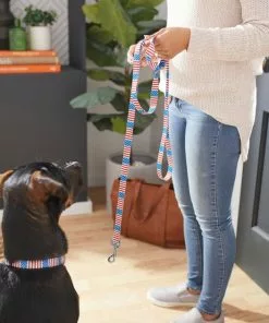 Frisco Americana Dog Leash -Dog Cat Corner 269502 PT3. SY630 V1619536665