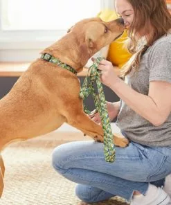 Frisco Tropical Bananas Dog Leash -Dog Cat Corner 269522 PT3. SY630 V1619534324