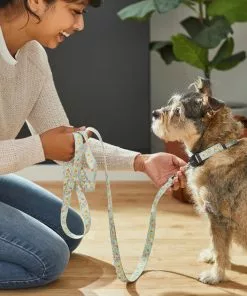 Frisco Ice Cream Party Dog Leash -Dog Cat Corner 269549 PT3. SY630 V1619537401