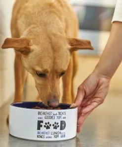 Frisco Food & Paw Non-skid Ceramic Dog Bowl 10 Frisco Food & Paw Non-skid Ceramic Dog Bowl -Dog Cat Corner 270194 PT2. SY630 V1620761622