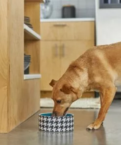 Frisco Houndstooth Non-skid Ceramic Dog Bowl -Dog Cat Corner 270200 PT2. SY630 V1620762251