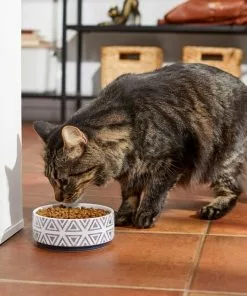 Frisco Tribal Aztec Non-skid Ceramic Dog & Cat Bowl -Dog Cat Corner 270217 PT3. SY630 V1620762202