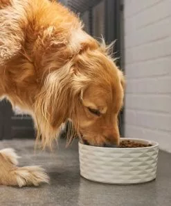 Frisco Geometric Non-skid Ceramic Dog Bowl 10 Frisco Geometric Non-skid Ceramic Dog Bowl -Dog Cat Corner 270224 PT2. SY630 V1620762188