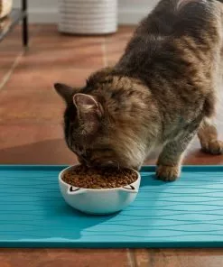 Frisco Cat Face Non-skid Ceramic Dog Bowl, White, 1.25 Cups -Dog Cat Corner 270229 PT3. SY630 V1620762318