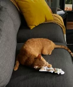 Frisco Halloween Good Witch, Bad Witch Reversible Plush Cat Toy with Catnip -Dog Cat Corner 270301 PT3. SY630 V1624824841