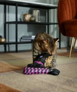 Frisco Halloween Witch Hat & Legs Plush Cat Toy with Catnip, 2 count -Dog Cat Corner 270305 PT3. SY630 V1624817161