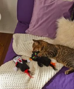 Frisco Vampire & Black Cat Plush Kicker Cat Toy with Catnip, 2 count -Dog Cat Corner 270307 PT3. SY630 V1624817053