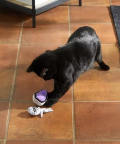 Frisco Halloween Mummy & Coffin Plush Cat Toy with Catnip, 2 count -Dog Cat Corner 270309 PT3. SY630 V1624817099