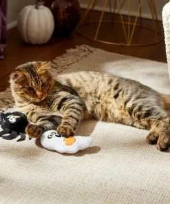 Frisco Halloween Spider & Ghost Plush Cat Toy with Catnip, 2 count -Dog Cat Corner 270315 PT3. SY630 V1624817028