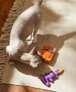 Frisco Halloween Monster Book & Candle Plush Cat Toy with Catnip, 2 count 7 Frisco Halloween Monster Book & Candle Plush Cat Toy with Catnip, 2 count -Dog Cat Corner 270321 PT3. SY630 V1624824924