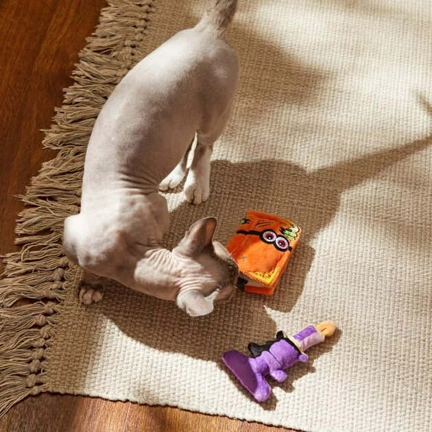 Frisco Halloween Monster Book & Candle Plush Cat Toy with Catnip, 2 count 5 Frisco Halloween Monster Book & Candle Plush Cat Toy with Catnip, 2 count - Image 3