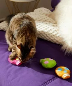 Frisco Colorful Skulls Plush Cat Toy with Catnip, 3 count -Dog Cat Corner 270325 PT3. SY630 V1630350992