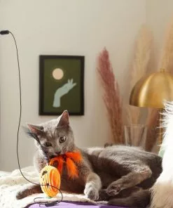 Frisco Halloween Teaser Wand Cat Toy with Catnip, 3 count -Dog Cat Corner 270341 PT3. SY630 V1624817557