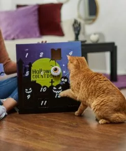 Frisco Halloween 13 Day Advent Calendar with Toys for Cats -Dog Cat Corner 270351 PT3. SY630 V1624817042