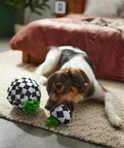 Frisco Halloween Fancy Pumpkin 2-in-1 Plush Squeaky Dog Toy 9 Frisco Halloween Fancy Pumpkin 2-in-1 Plush Squeaky Dog Toy -Dog Cat Corner 270359 PT3. SY630 V1624817665