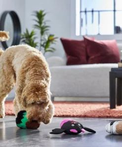 Frisco Cupcakes Plush Squeaky Dog Toy, 3 count -Dog Cat Corner 270367 PT3. SY630 V1624817674