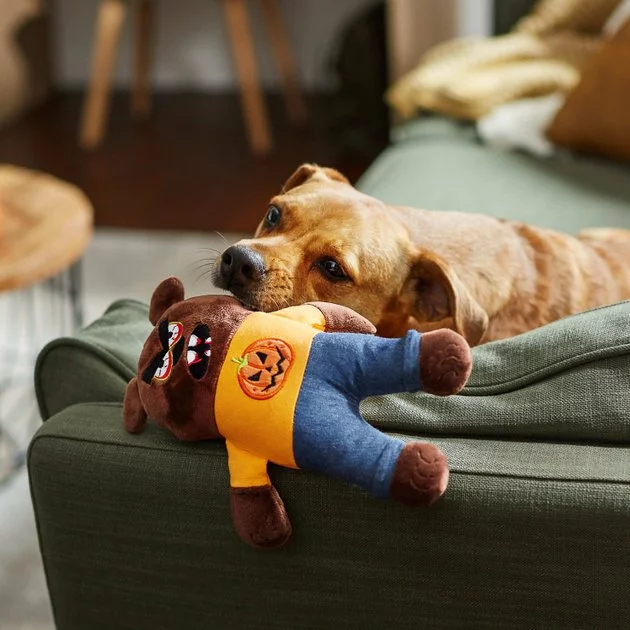 Frisco Halloween Good Bear, Bad Bear Reversible Plush Squeaky Dog Toy 6 Frisco Halloween Good Bear, Bad Bear Reversible Plush Squeaky Dog Toy - Image 4