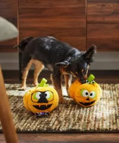 Frisco Halloween Nerdy Jack-o-Lanterns Plush Squeaky Dog Toy, 2 count -Dog Cat Corner 270431 PT3. SY630 V1624817796