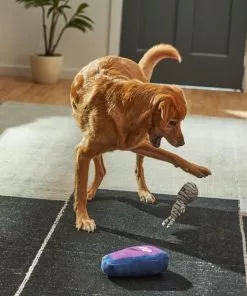 Frisco Halloween Mummy & Coffin Plush Squeaky Dog Toy, 2 count -Dog Cat Corner 270437 PT3. SY630 V1624817278