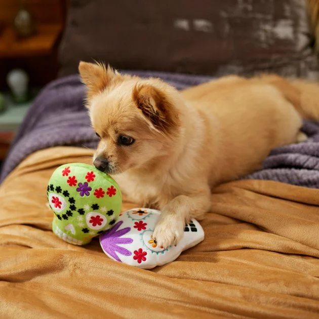 Frisco Sugar Skull Plush Squeaky Dog Toy 5 Frisco Sugar Skull Plush Squeaky Dog Toy - Image 3