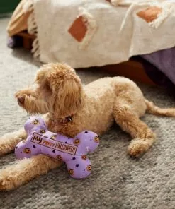 Frisco Halloween My First Halloween Bone Reversible Plush Squeaky Dog Toy -Dog Cat Corner 270452 PT3. SY630 V1624817314