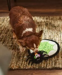 Frisco Spider's Web & Spider Flat Plush Interactive Squeaky Dog Toy, 2 count -Dog Cat Corner 270458 PT3. SY630 V1624817520