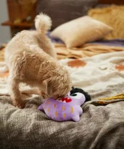 Frisco Friendly Monster Round Plush Squeaky Dog Toy -Dog Cat Corner 270468 PT3. SY630 V1624817404