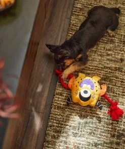 Frisco Friendly Monster Plush with Rope Squeaky Dog Toy -Dog Cat Corner 270474 PT3. SY630 V1624824917