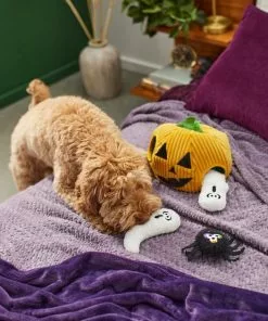 Frisco Halloween Jack-o-Lantern Hide & Seek Puzzle Plush Squeaky Dog Toy -Dog Cat Corner 270492 PT3. SY630 V1624817005