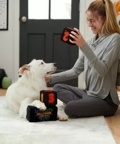 Frisco Halloween 30 Days of Halloween Countdown Blocks Plush Squeaky Dog Toy, 3 count -Dog Cat Corner 270494 PT3. SY630 V1624817483